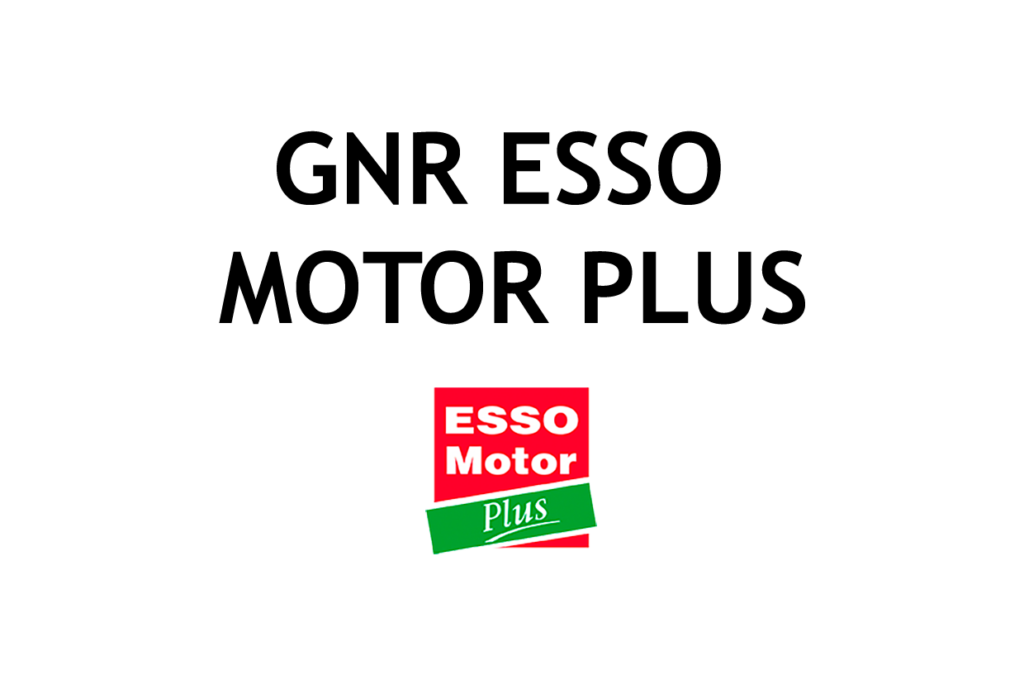 logo gnr